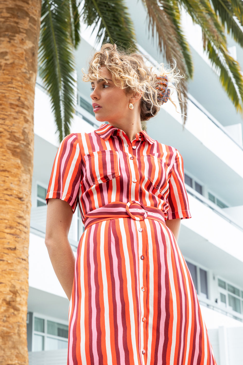 Holiday Striped Button Through Shirt Dress with Belt
